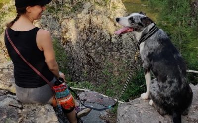 Uusi järjestöassistentti esittäytyy